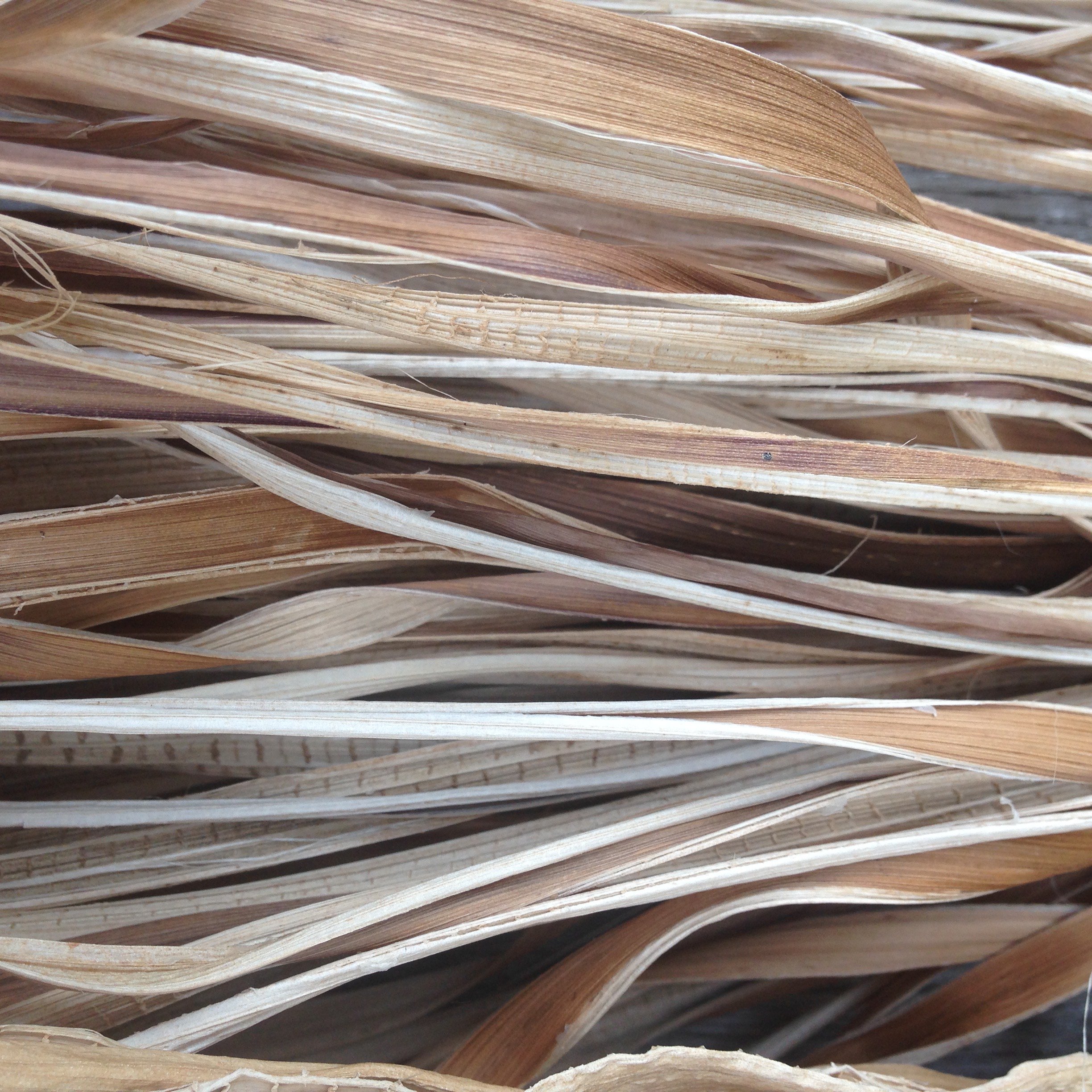 Banana_fibre.jpg