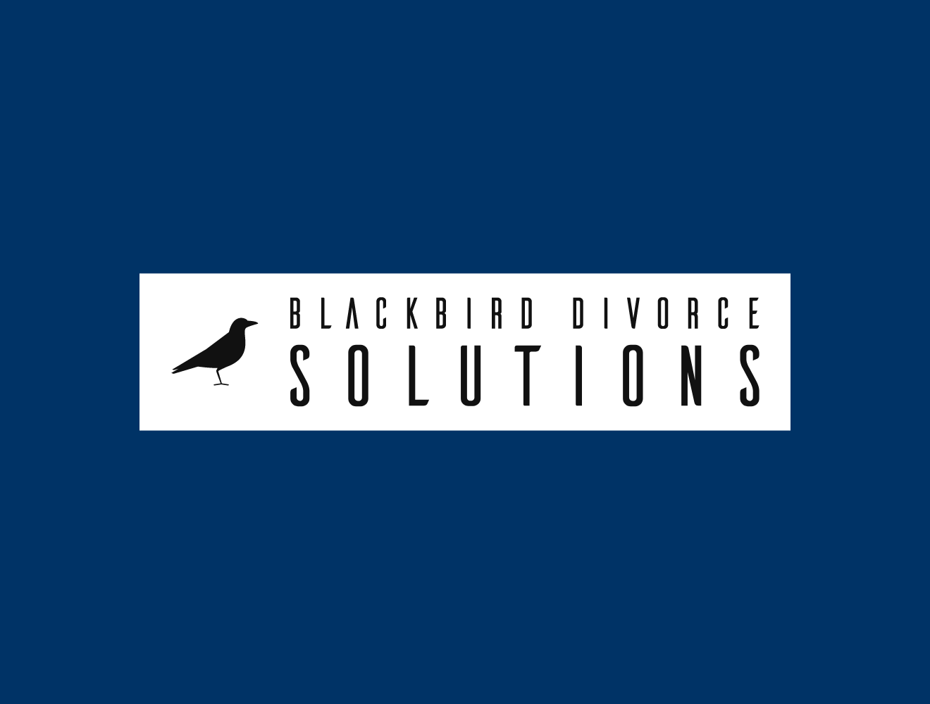 BlackBird Divorce Solutions