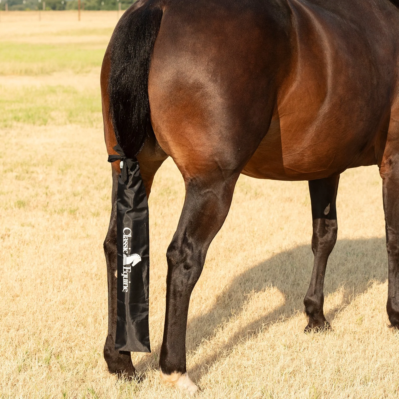 Classic Slick Tail Bag