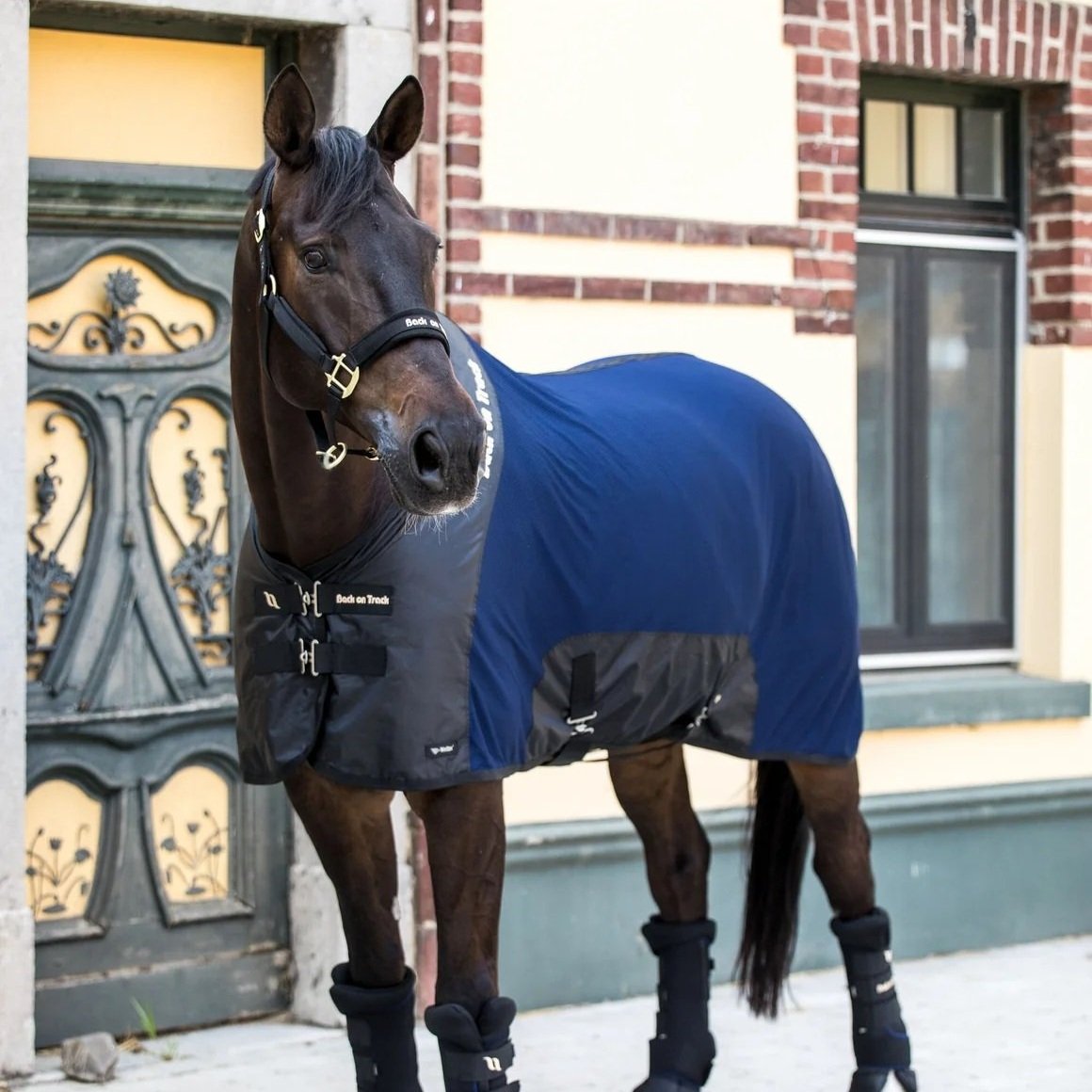 22142033RoyalMeshSheetandQuickWrapsDeluxe-large_1160x_crop_center.jpg