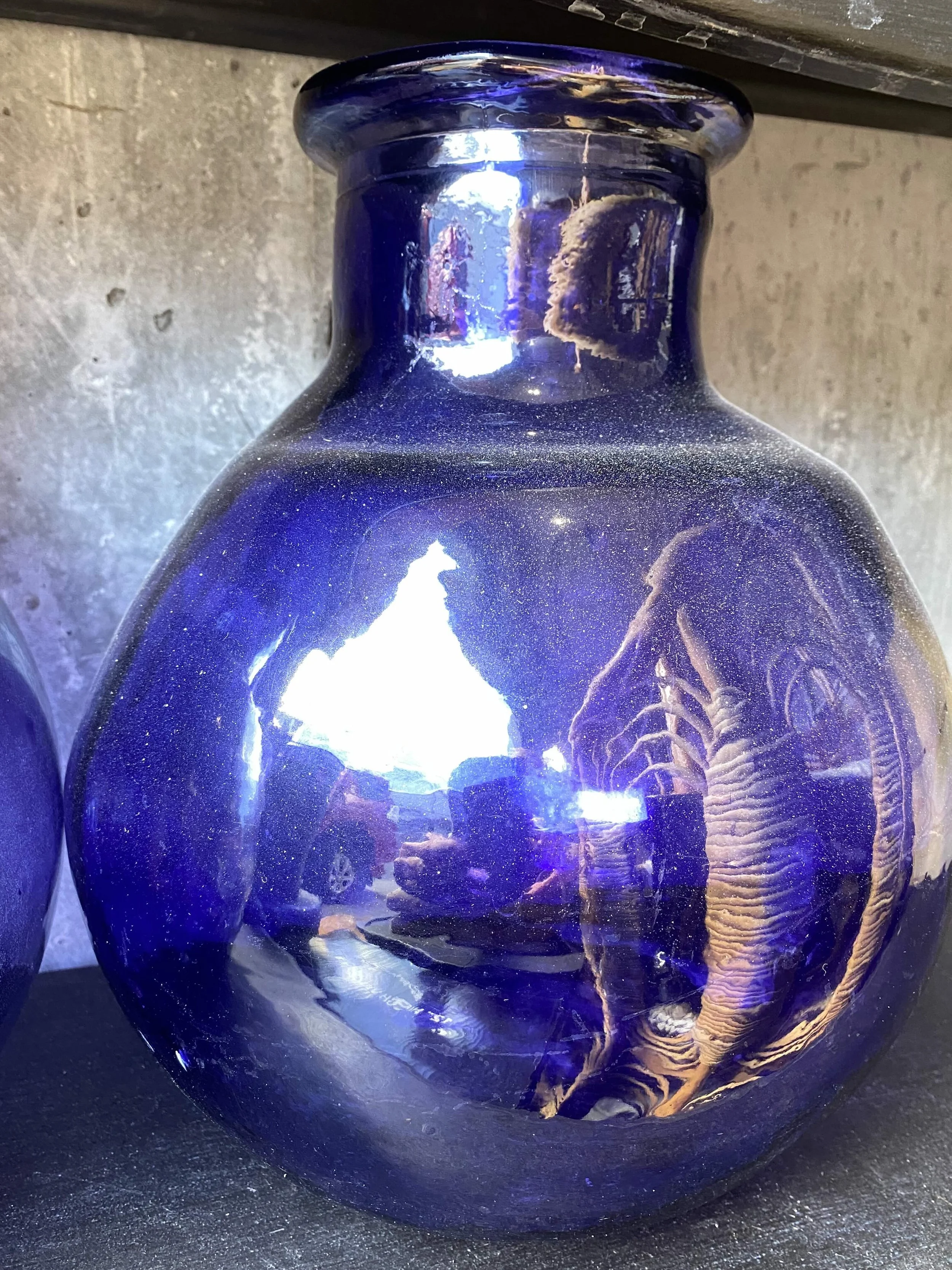 Single orb close up.jpg