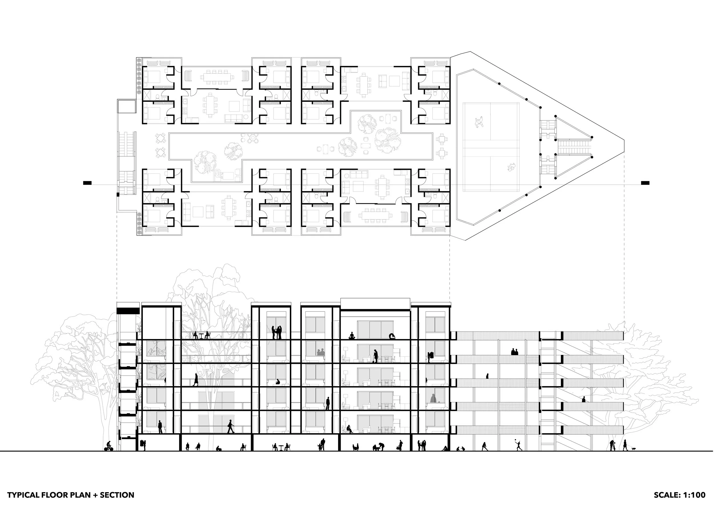 KTT PLAN + SECTION .jpg