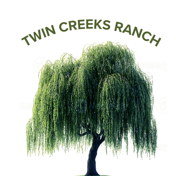 Screenshot 2025-10-28 at 10.28.23 AM.png