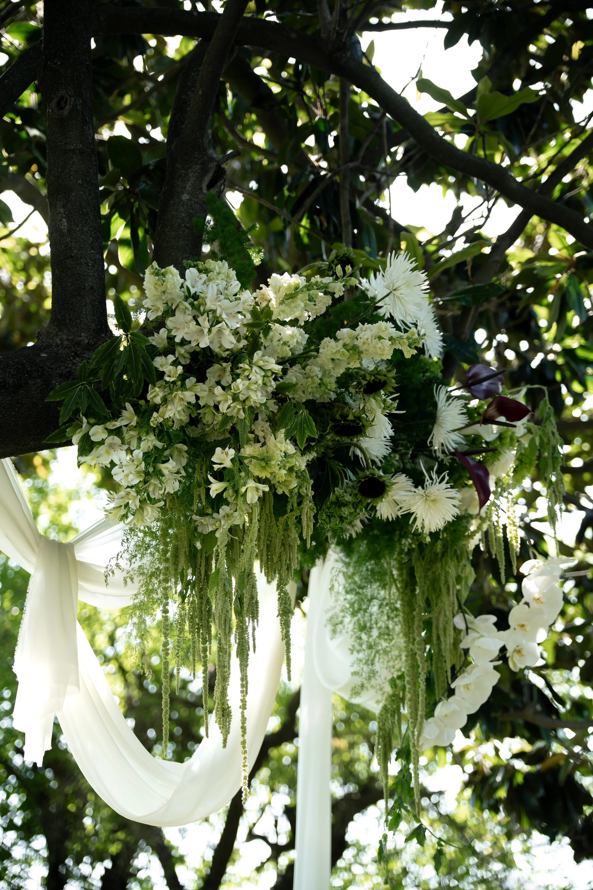 NVphoto-361.jpg