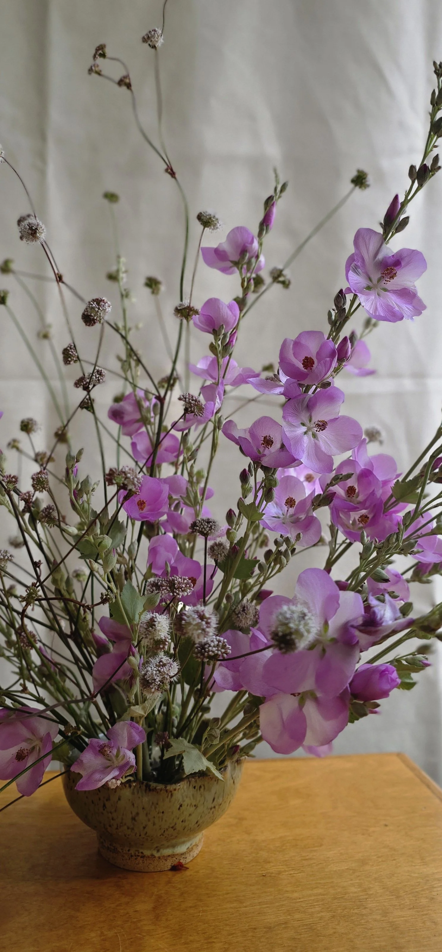 Airy pink and purple native California blooms in a handmade ceramic vase, Bay Area floral subscription by Petal + Salt Floral