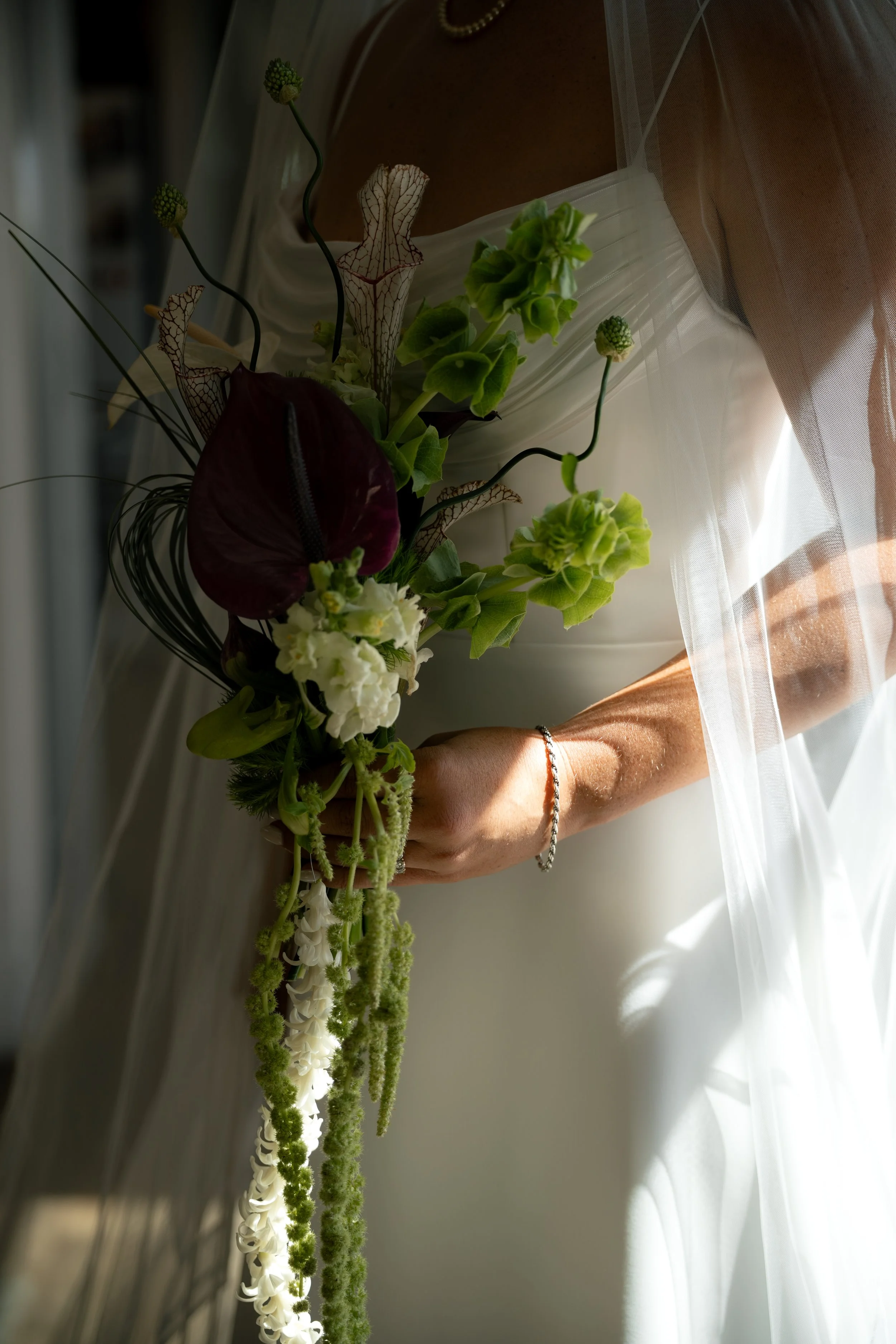 NVphoto-284.jpg