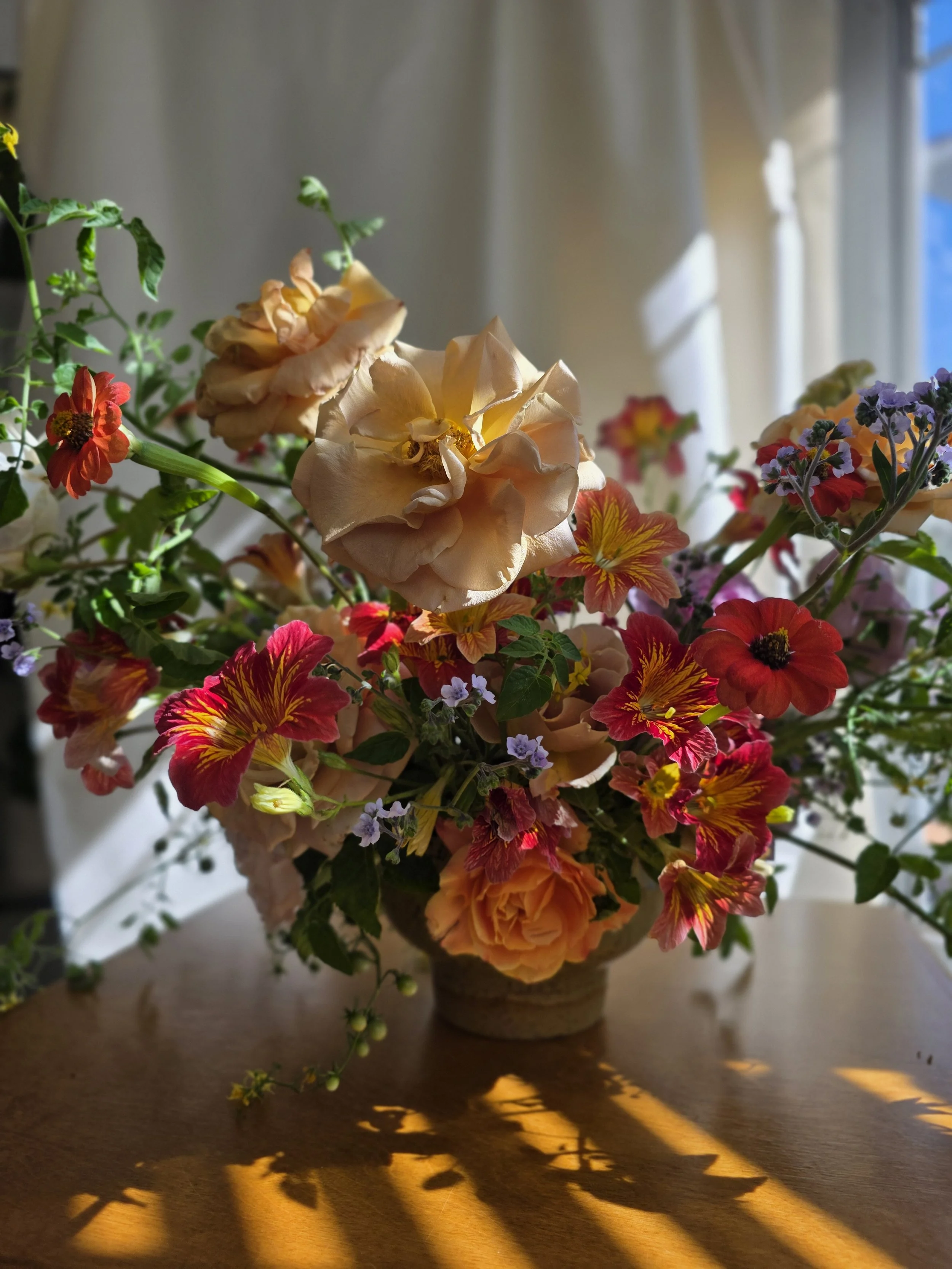 Richly colored floral arrangement in a hand made ceramic compote bathed in warm window light with a linen curtain backdrop, Petal and Salt Floral