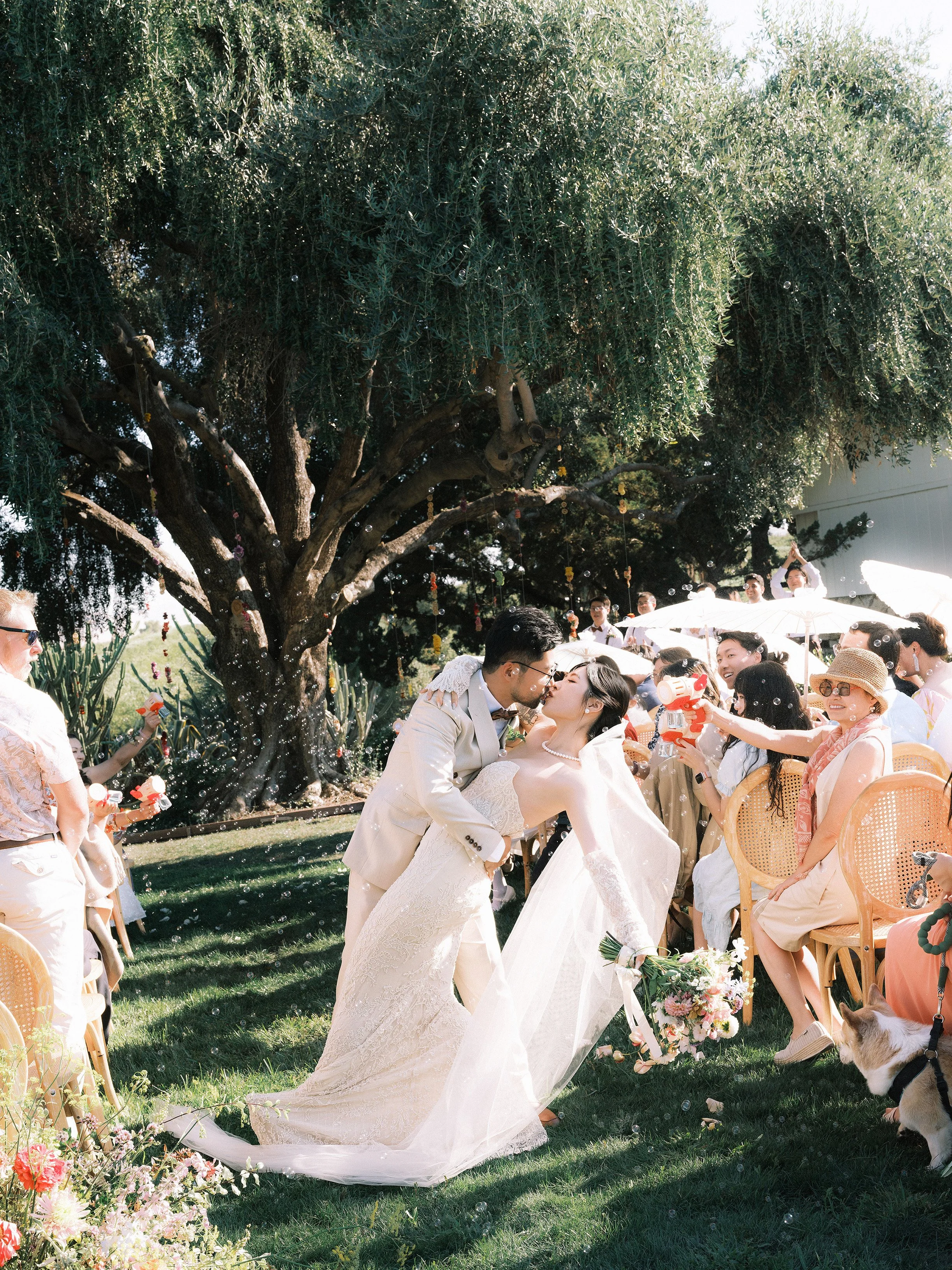 Newlyweds sharing a first kiss under a decorated tree surrounded by guests at an outdoor Bay Area wedding at Olive Hill Estate, florals by Petal + Salt