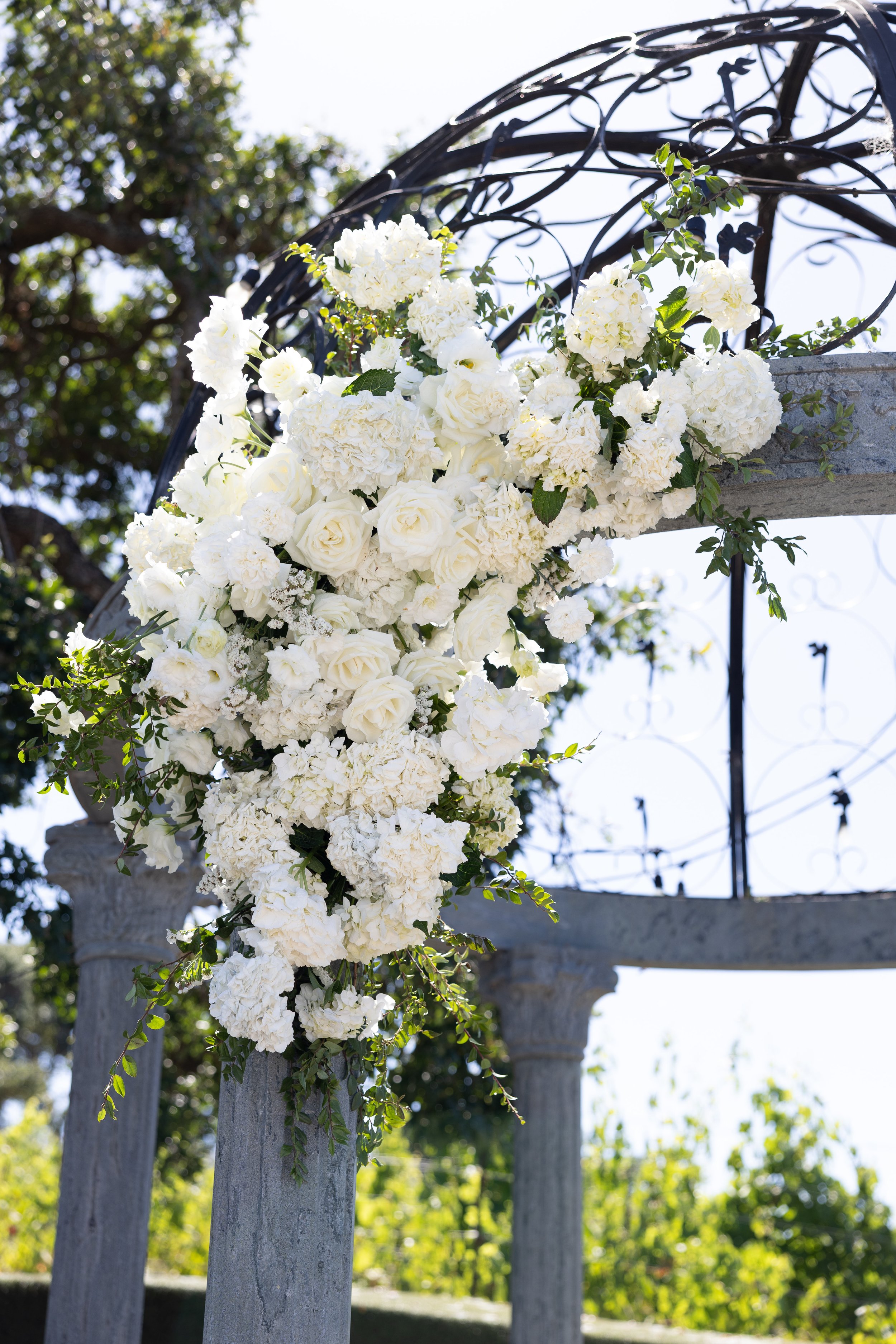 rosefreedmanphotography-158.jpg