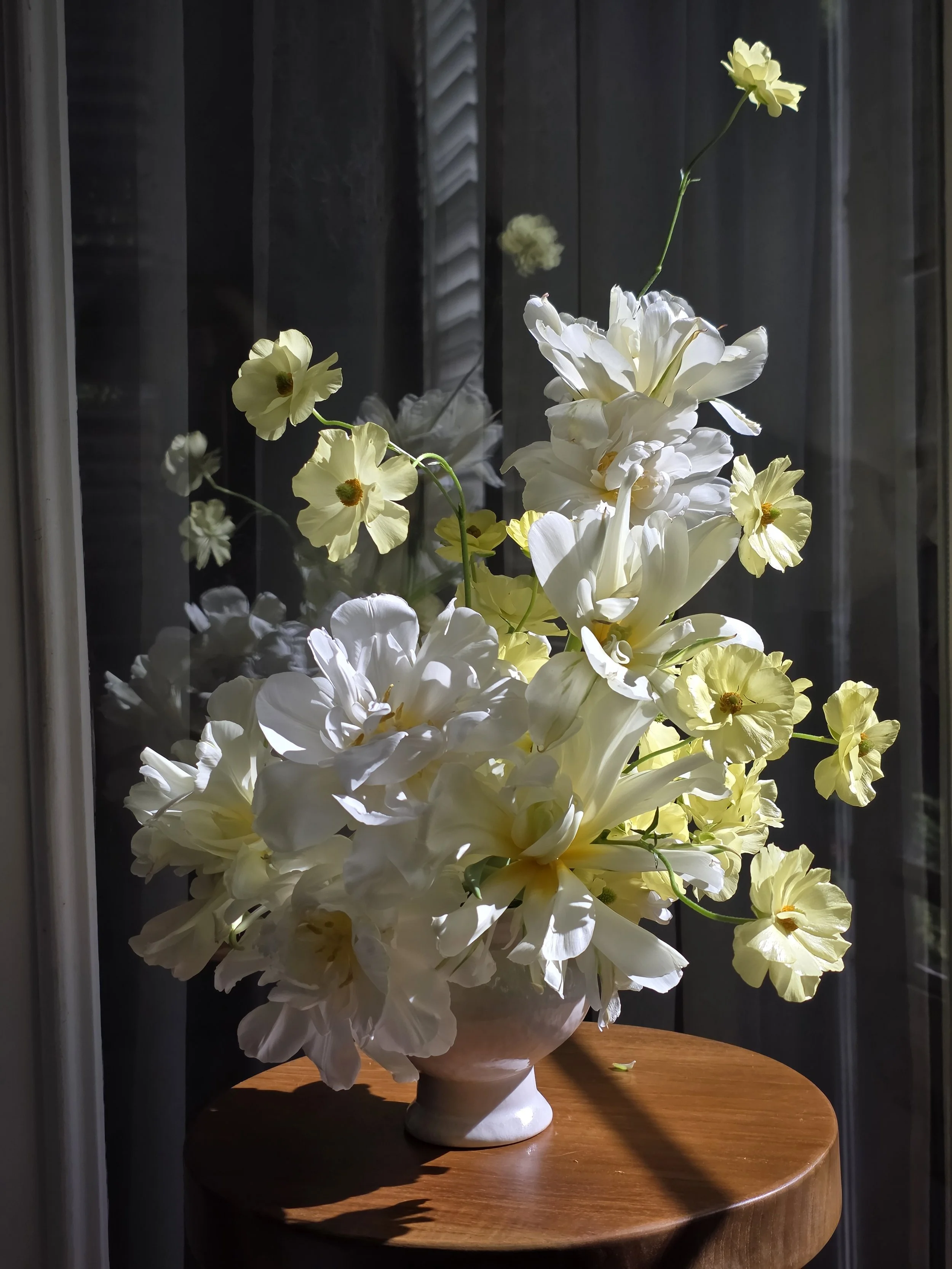 White and yellow spring tulip blooms in a white vase with bold sunlight and shadows on a wooden table, Petal and Salt Floral