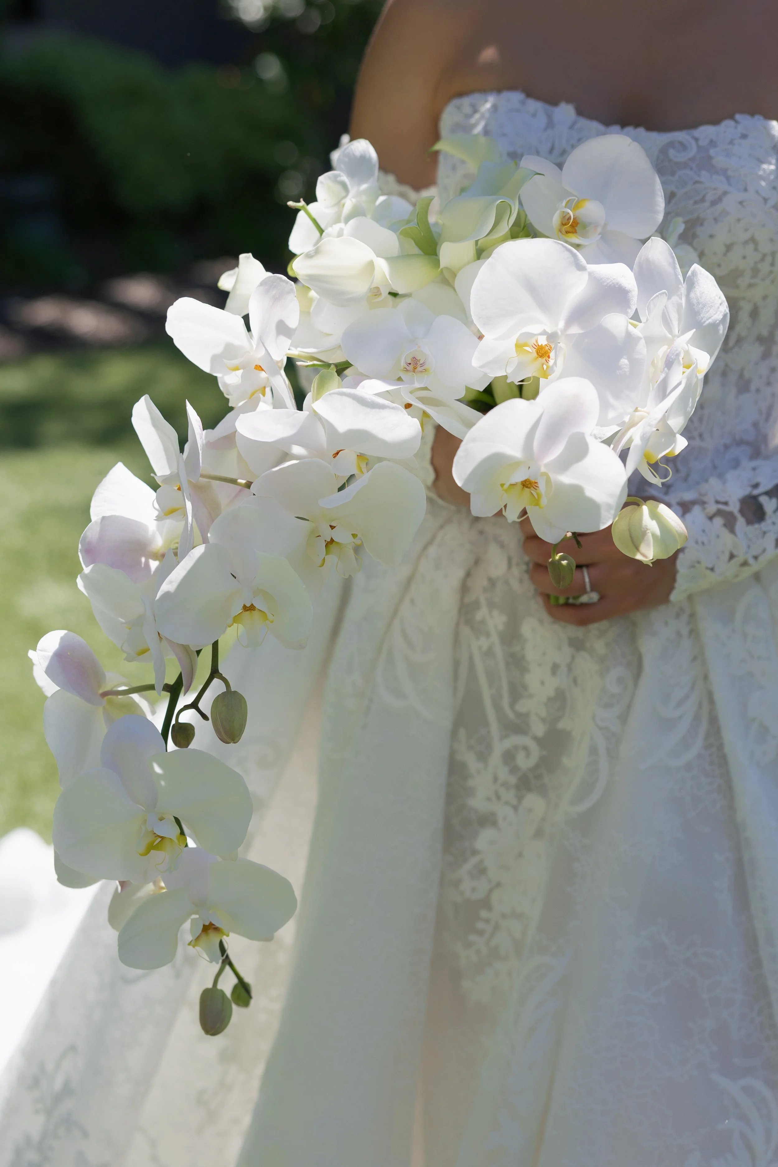 rosefreedmanphotography-143.jpg