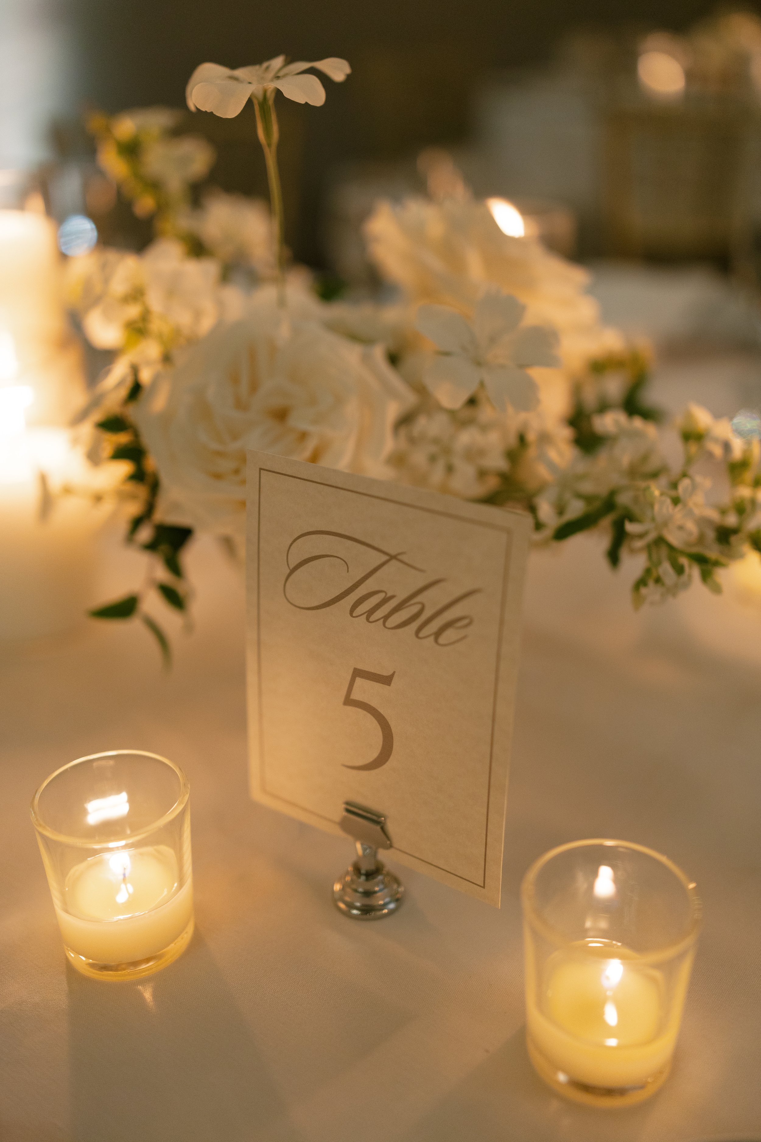 rosefreedmanphotography-456.jpg