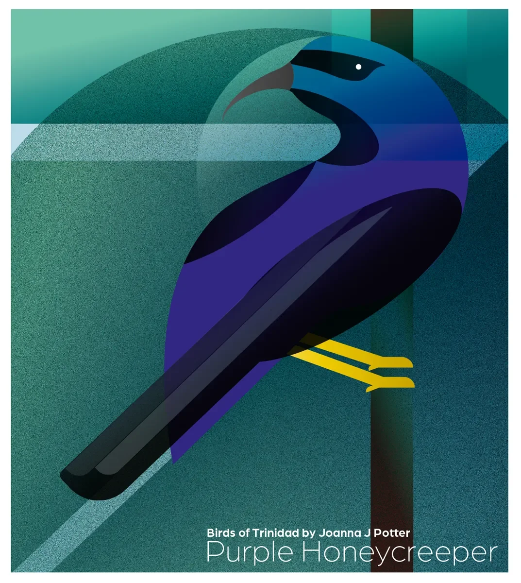 PurpleHoneyxreeper©JJPotter copy.webp