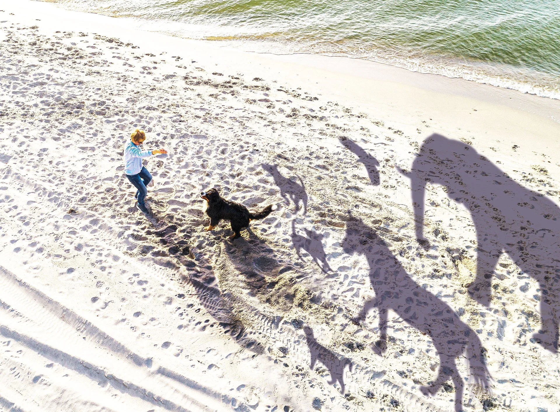 Charity Legacy Campaign