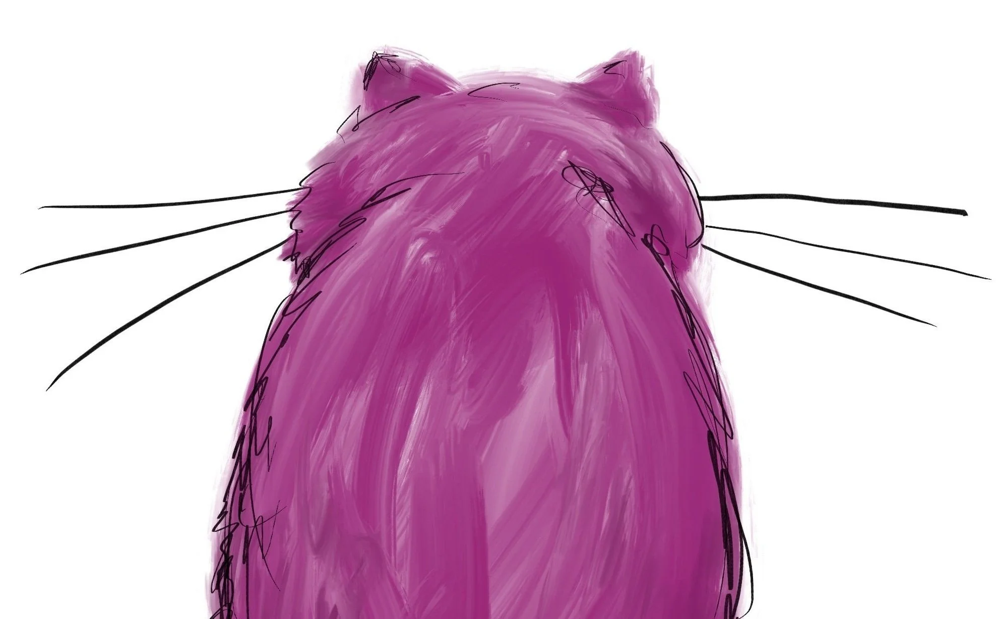 Get ready for the gatitos! (that’s ‘little cats’ for those of you who’d like to learn some Spanish)