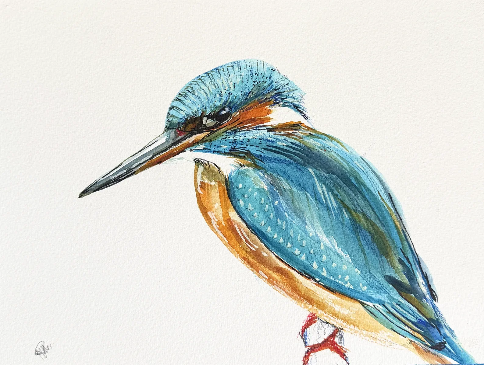 Kingfisher©JoannaJPotter_web.webp