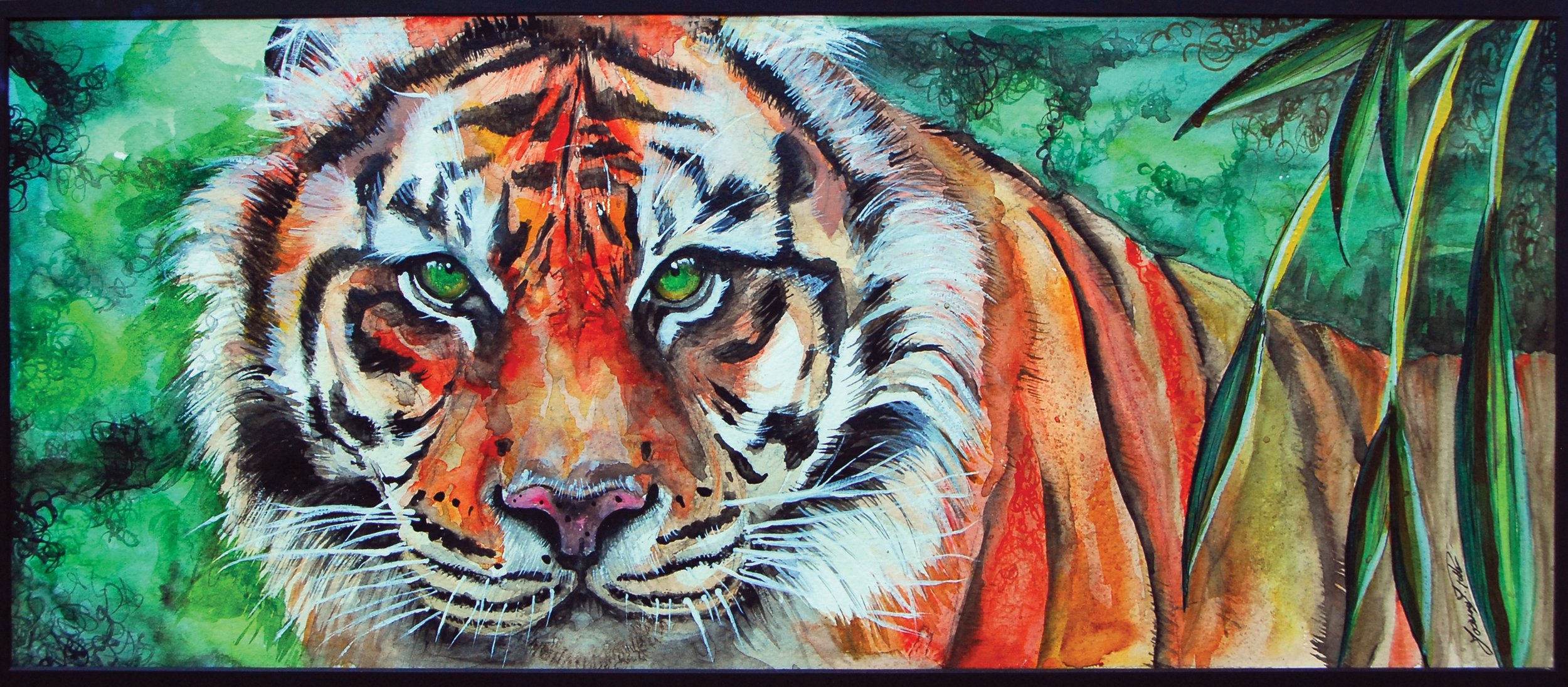 "Sumatran Tiger" © JJ Potter
Mounted print 42cm x 20xm
£80