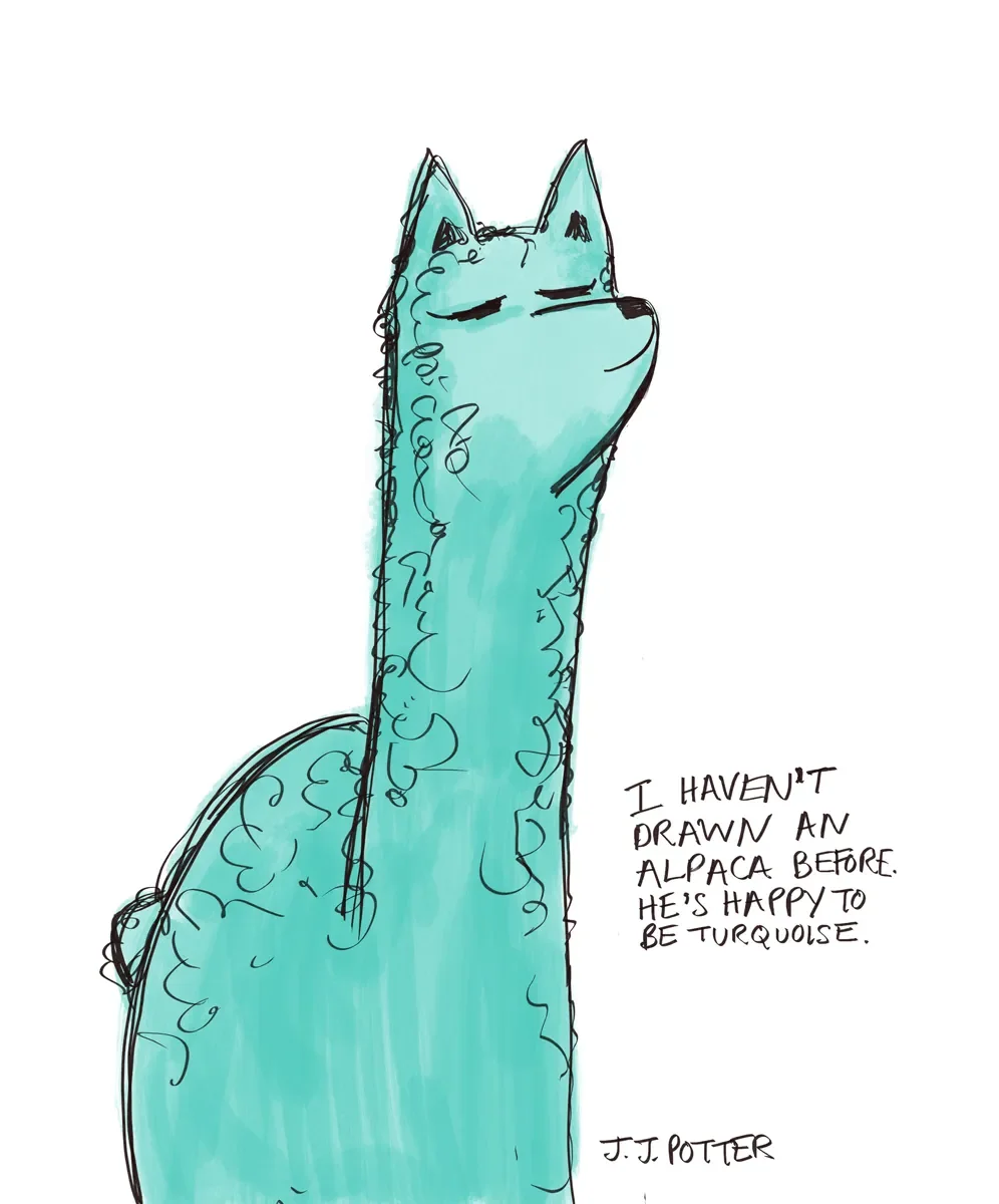 TurquoiseLlama©JJPotter copy.webp