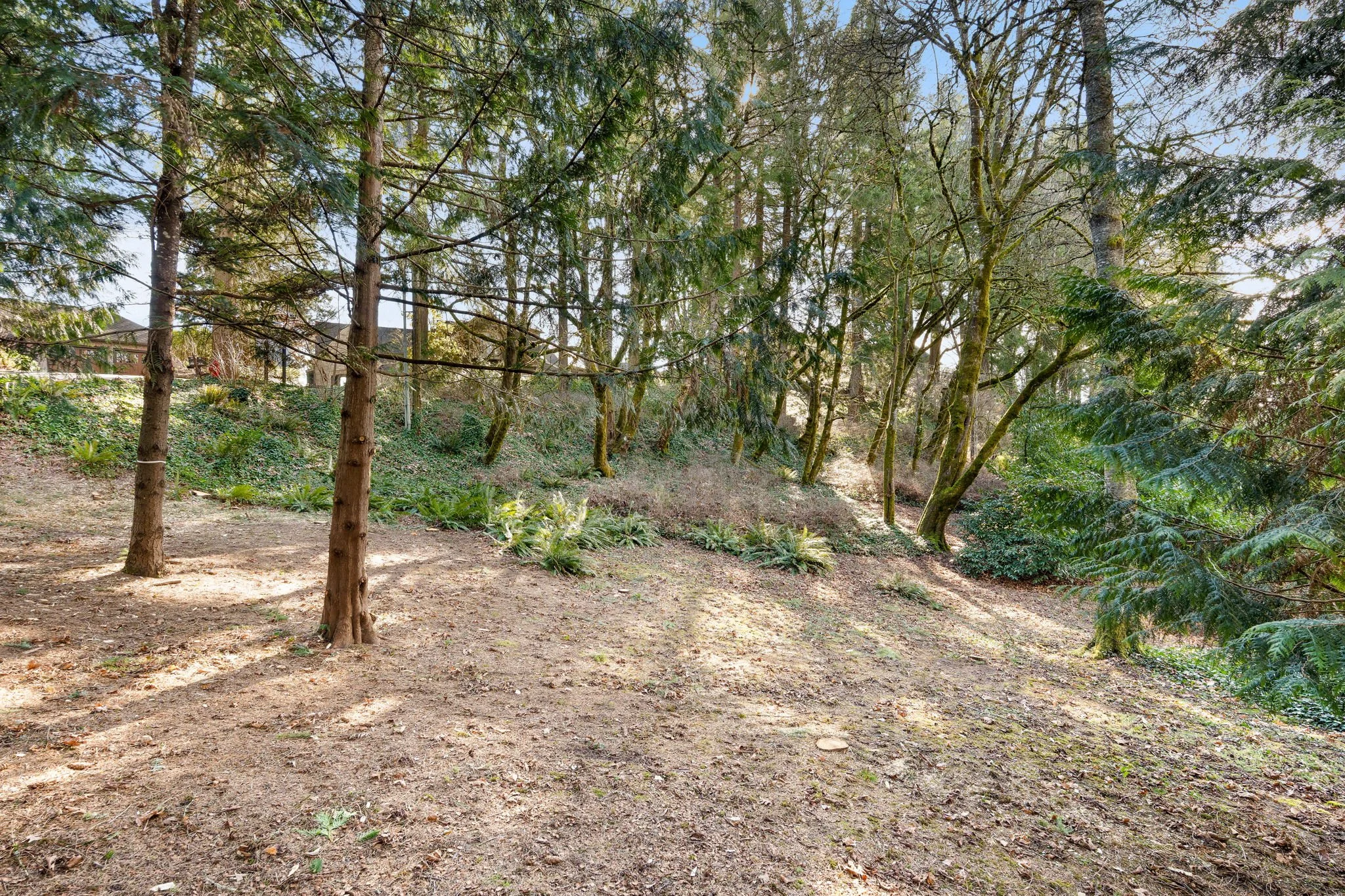 2-web-or-mls-4 (2).jpg