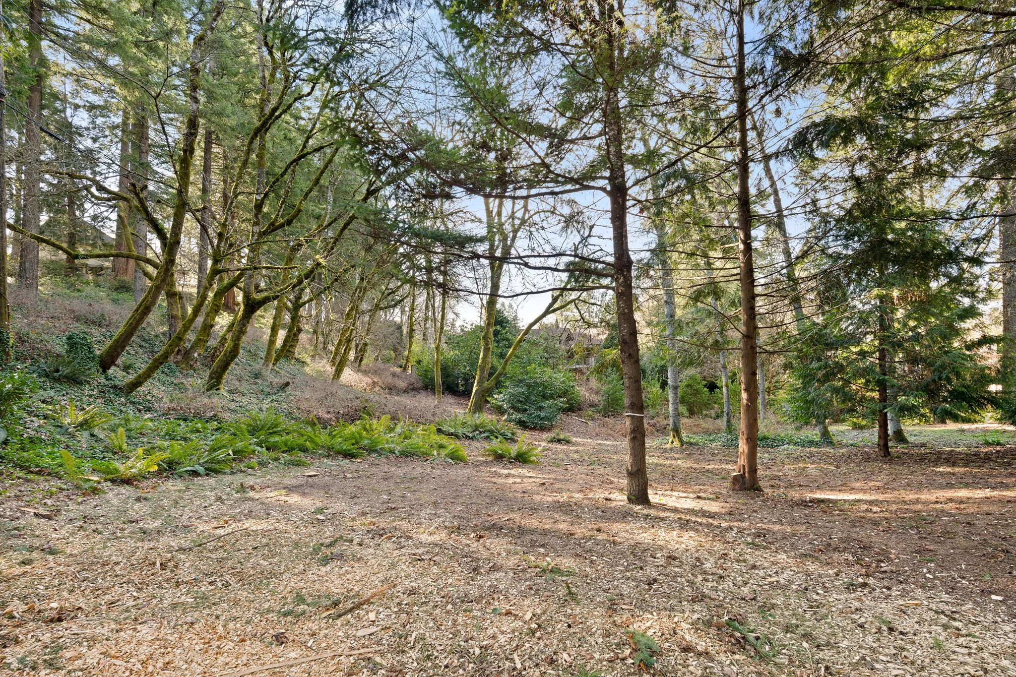 4-web-or-mls-3 (2).jpg