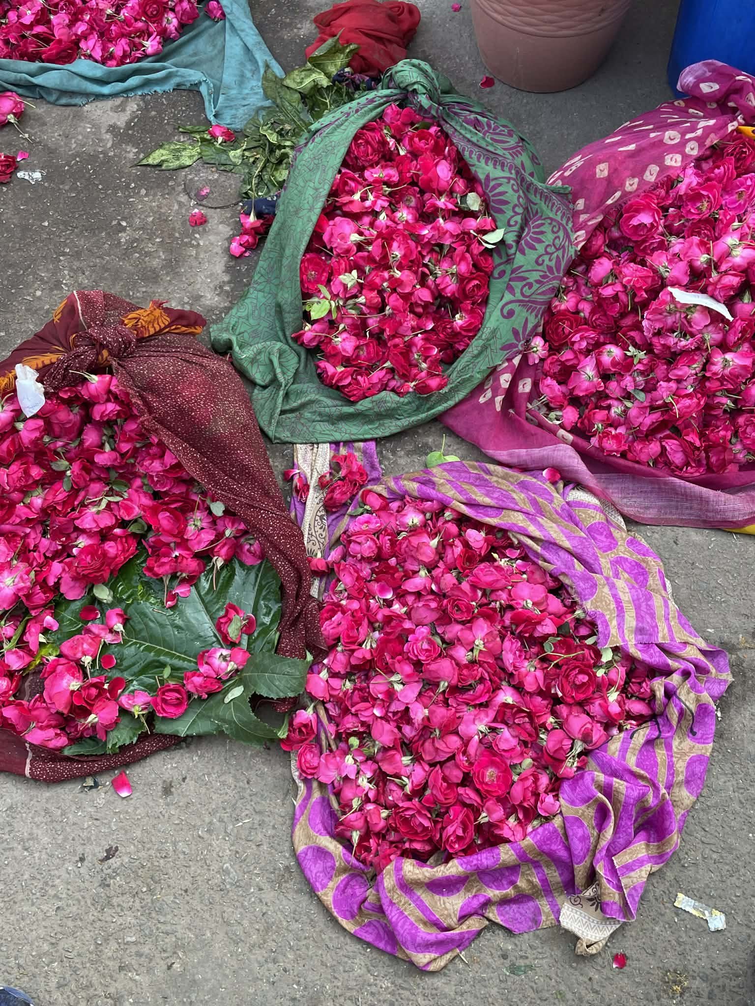 Red rose coloured flowers Jaipur flower market