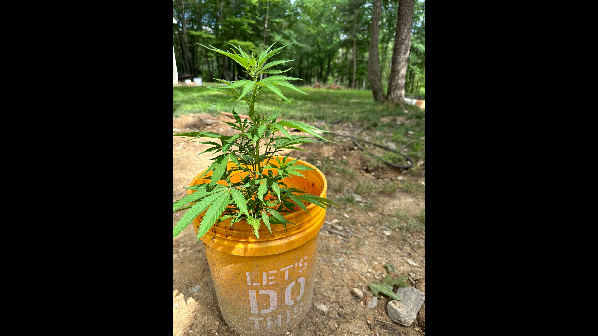 Garden Life