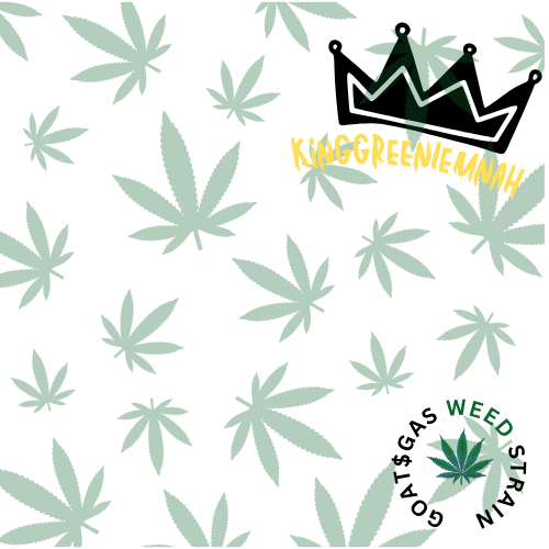 "KingGreenLemnah" Promo 2
Created By Kevin Michael Lemnah