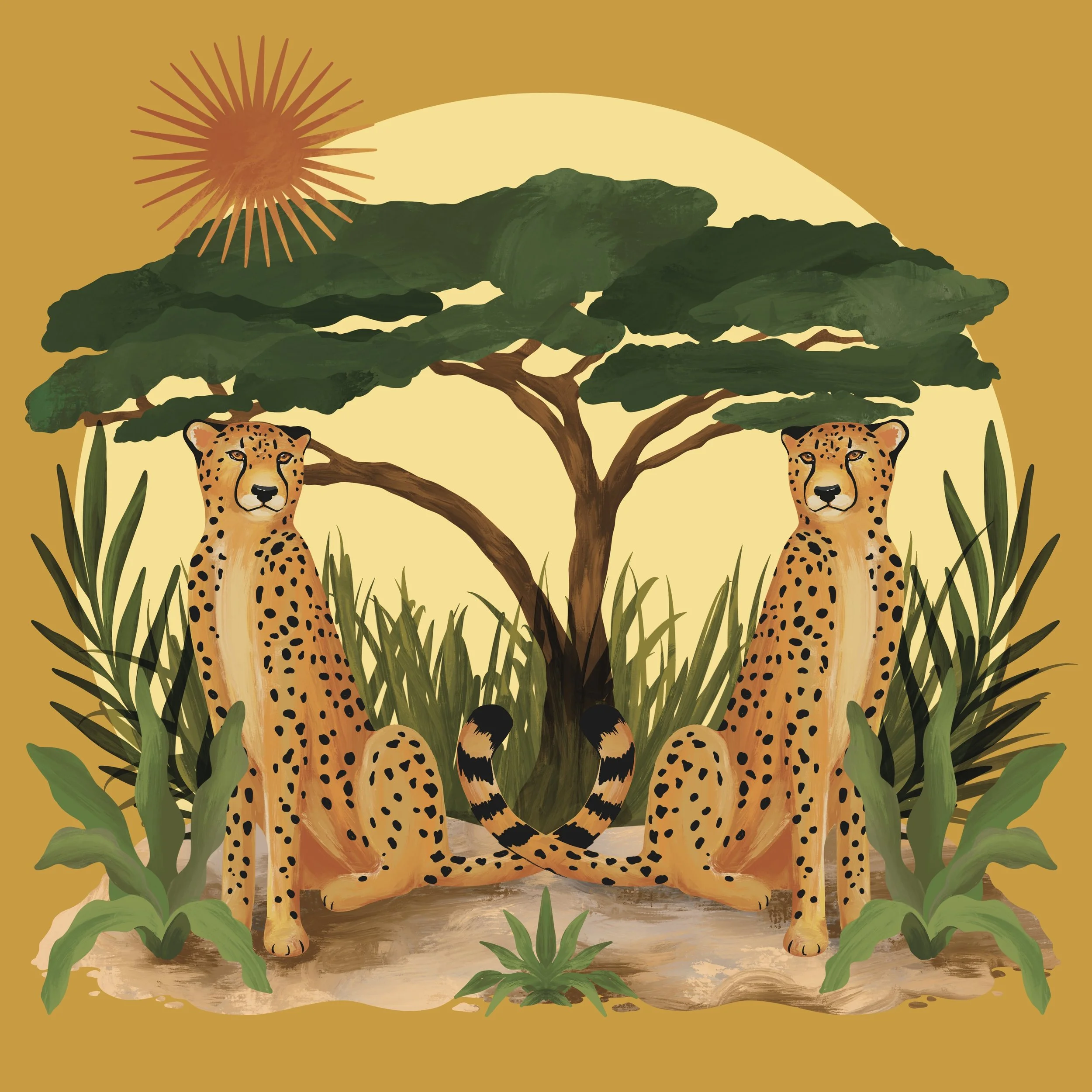 Cheetah Symmetry.jpg