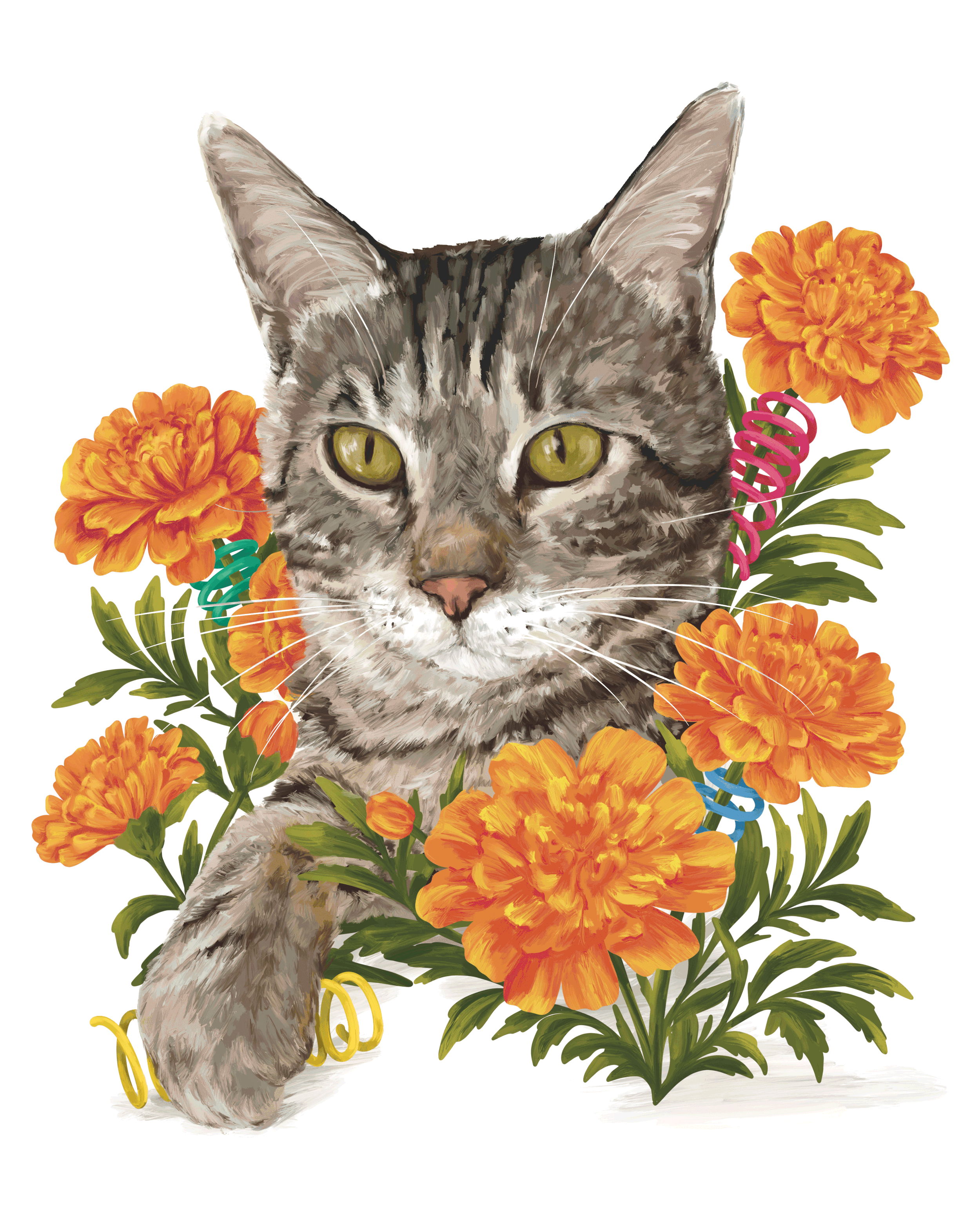 Cat-Illustrations.gif
