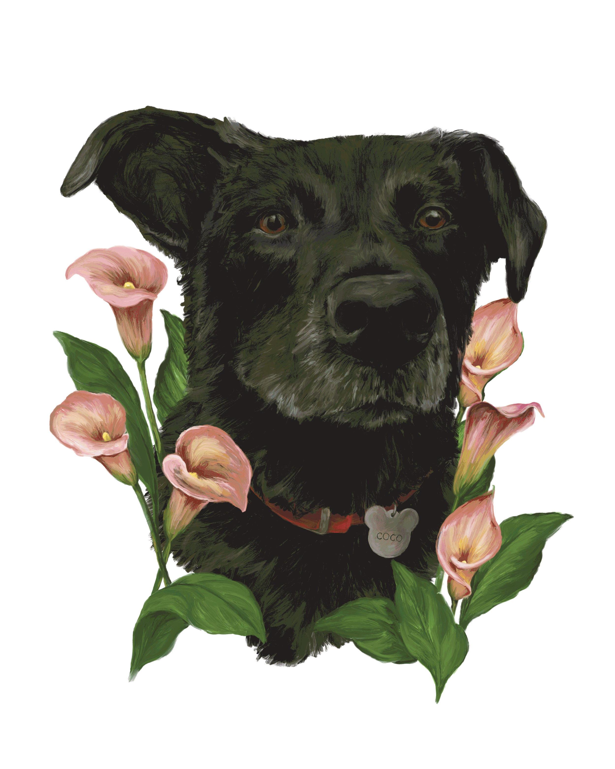 Dog-Illustrations.gif