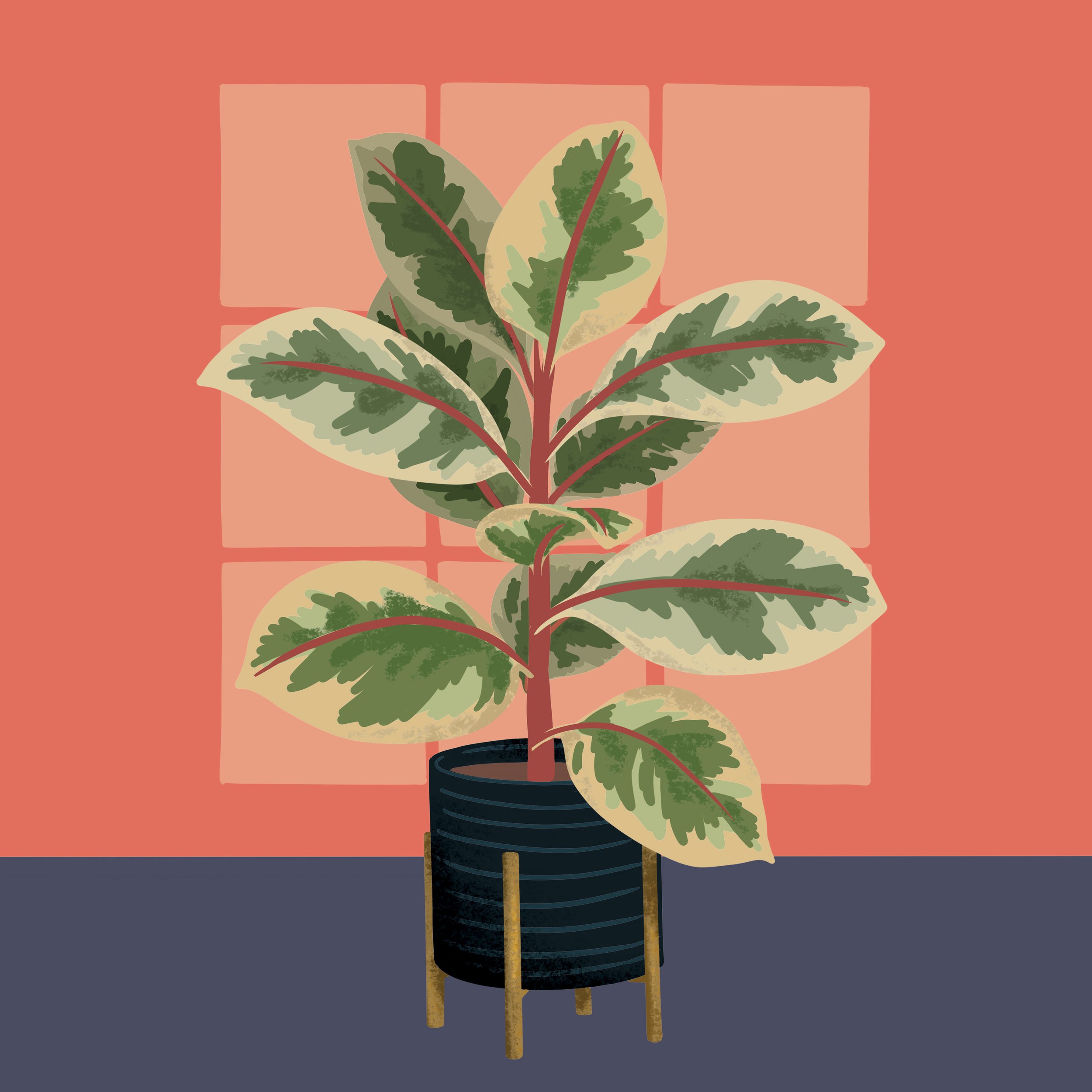 RubberTree_KH.jpg