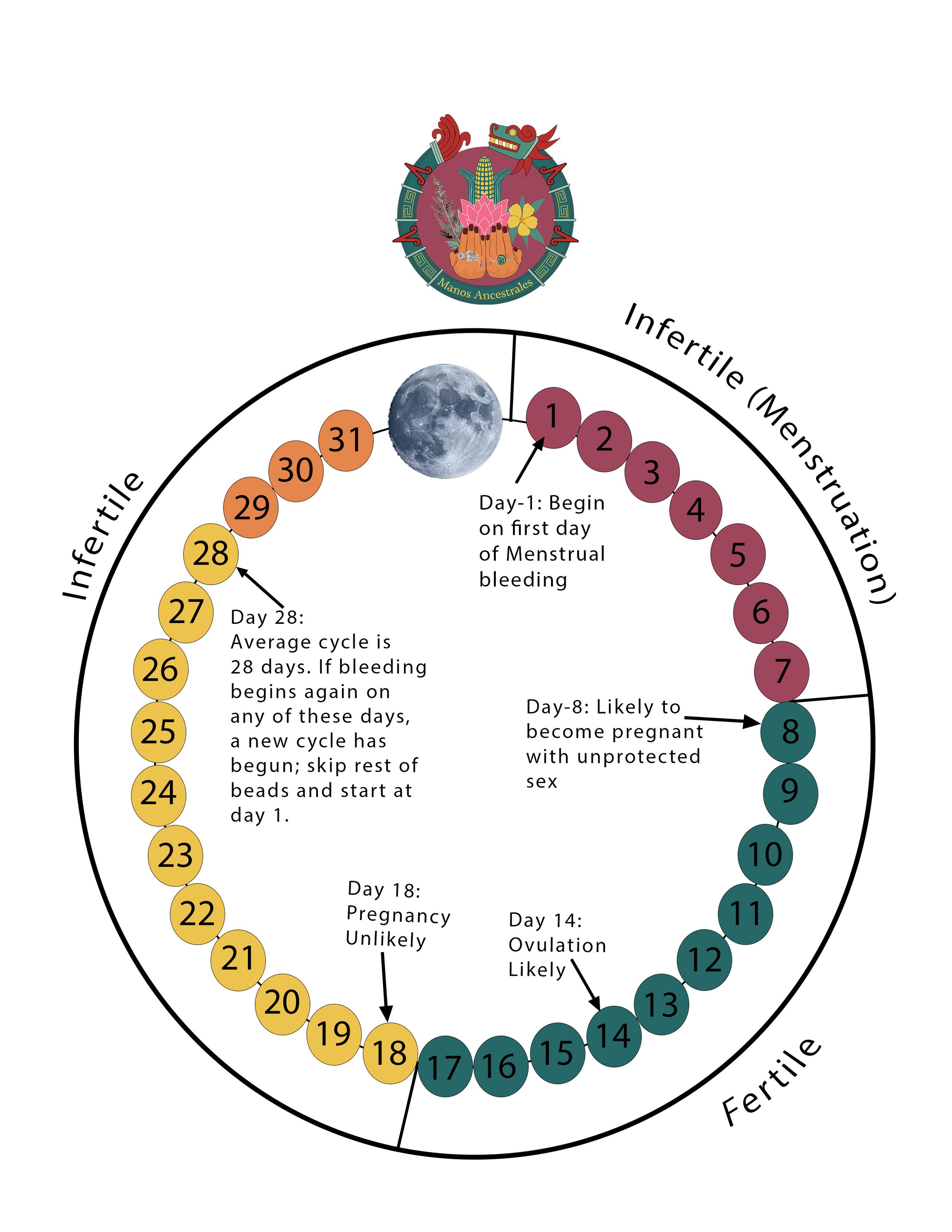 Understanding Your Cycle Level 1