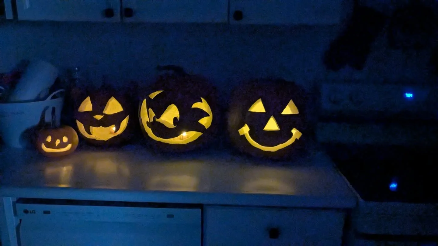 This year's Jack o lanterns! 🎃