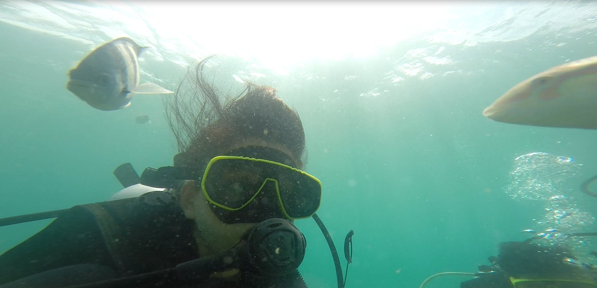 Od visina do dubina mora Tajlanda