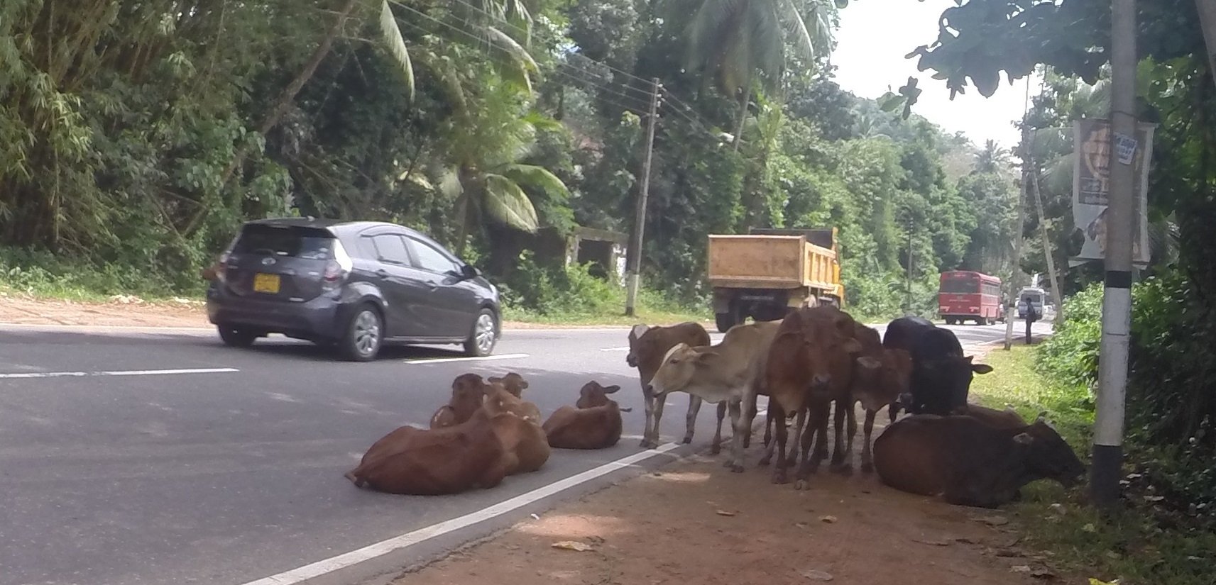 [VIDEO] Ride in Sri Lanka
