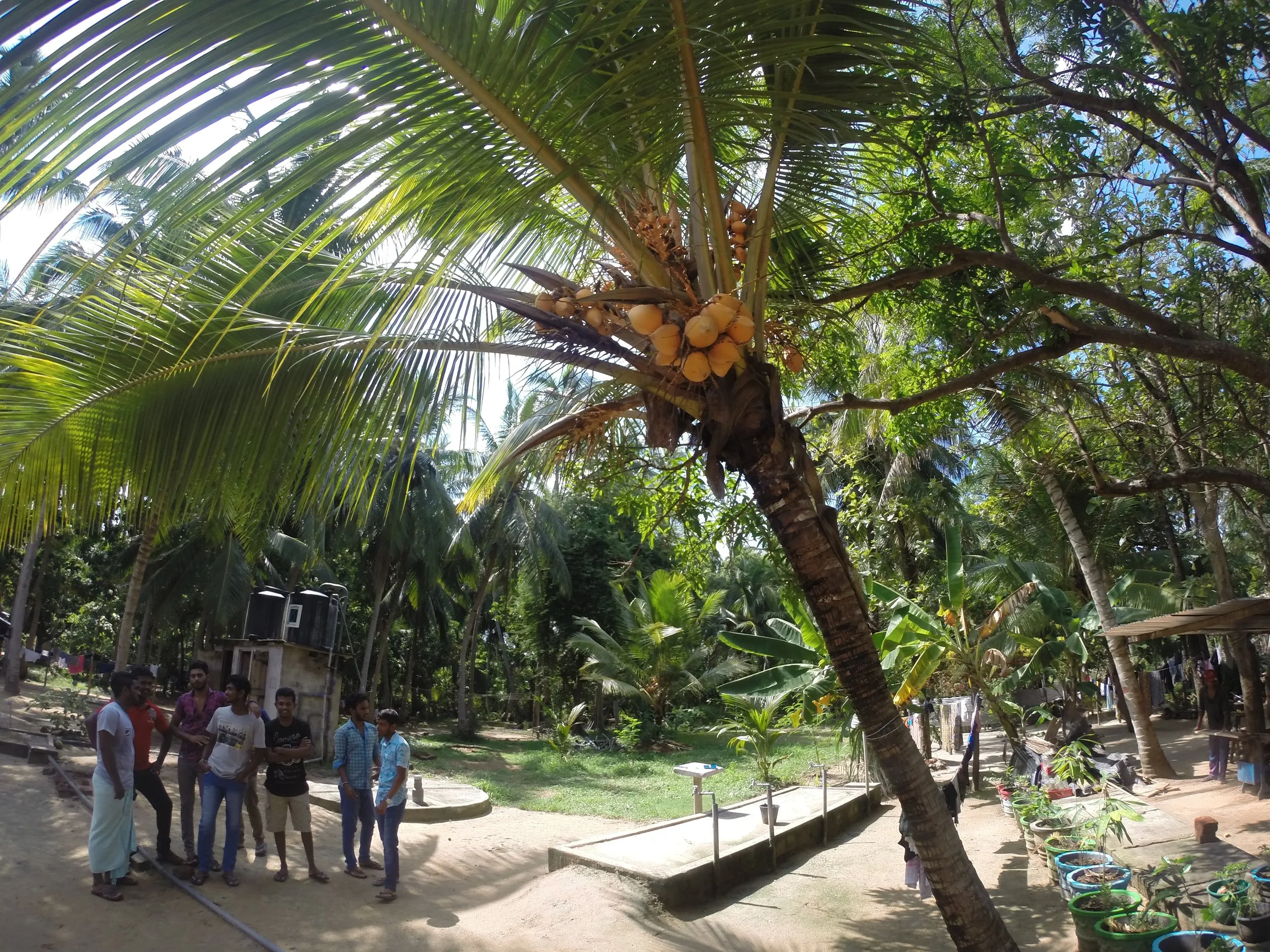 Volunteering in the school of English language in Sri Lanka