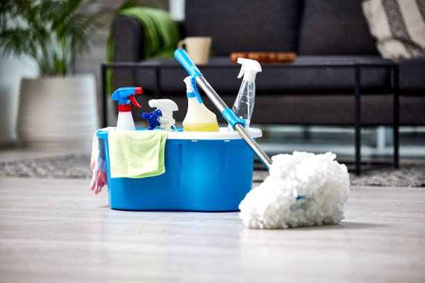 Standard Cleaning