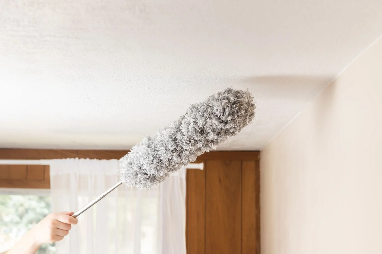 Ceiling Dusting