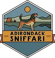 Adirondack Sniffari