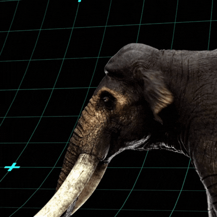 General 1 — CREATURE STATION