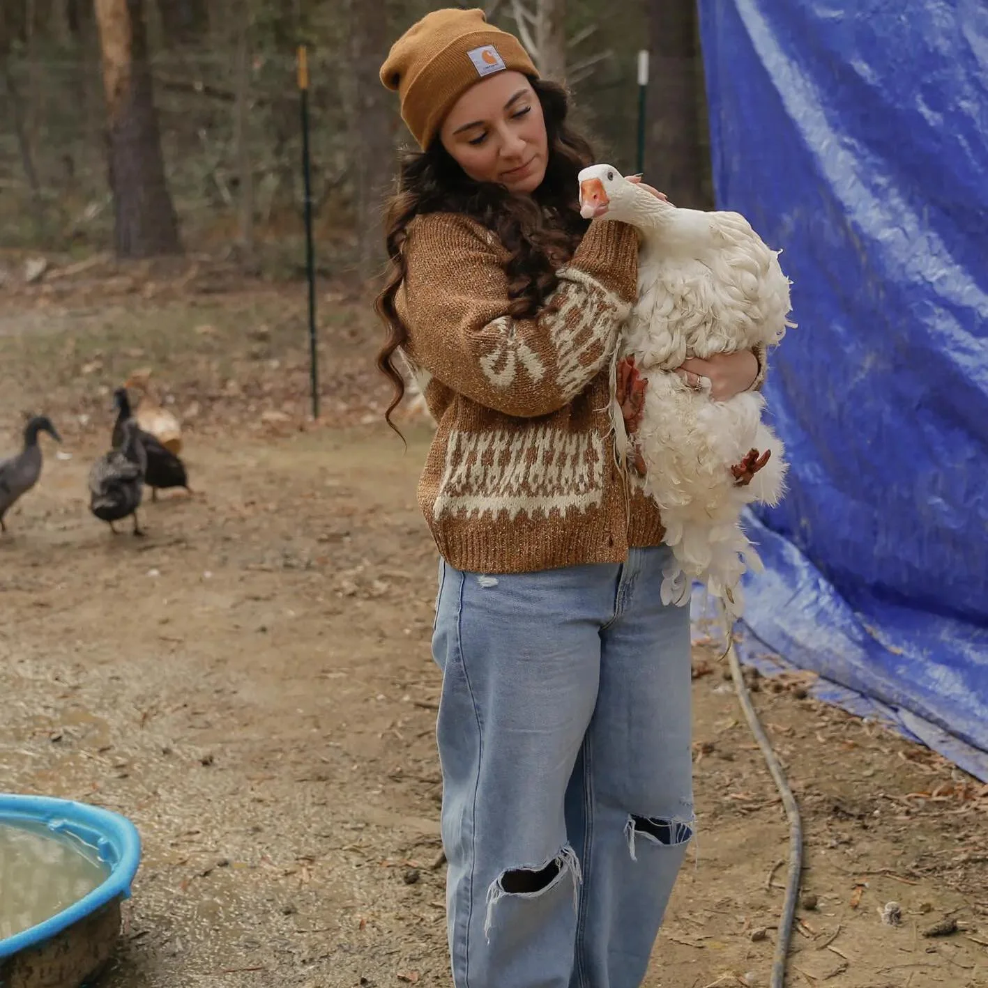 Becca holding a white goose outdoors in a wooded area, with three ducks in the background and a blue tarp to her side.