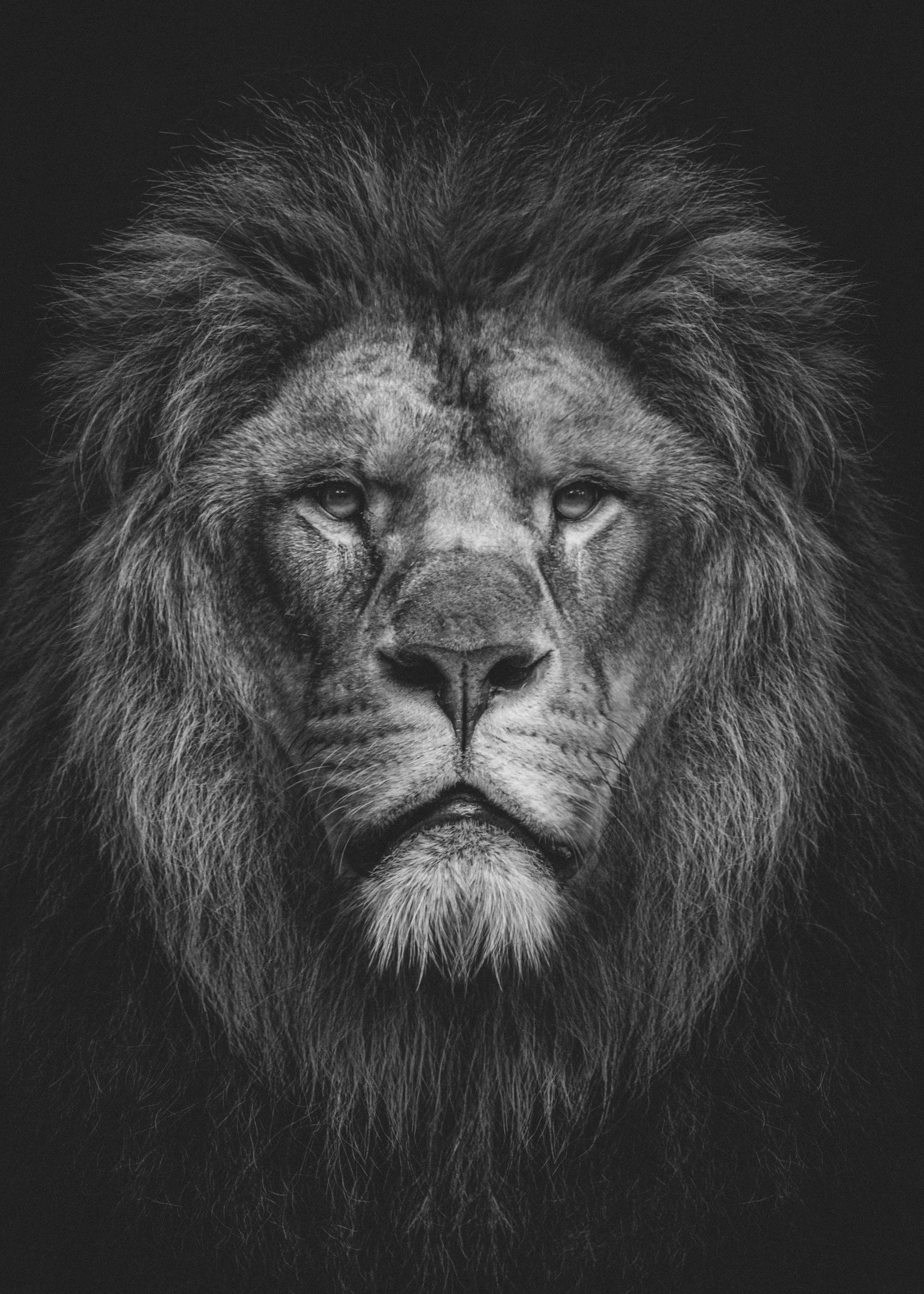 Are you any better than Beast?!