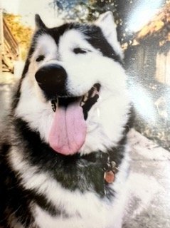 IMG_3670 Small.jpeg
