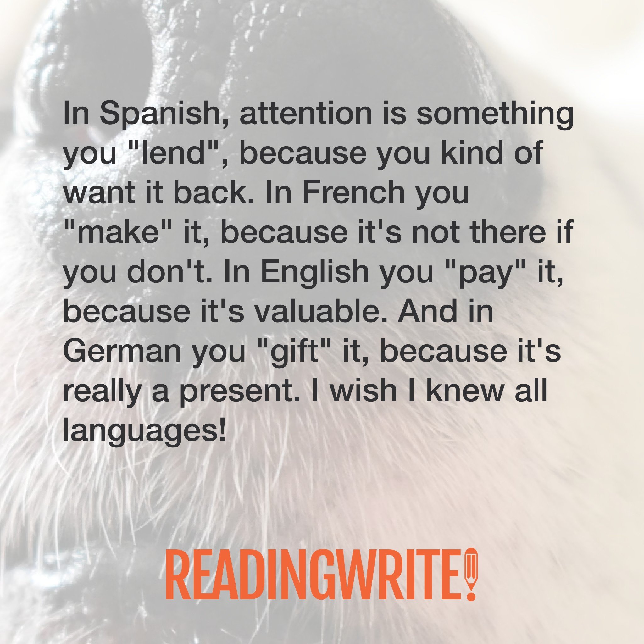 Attention: a linguistic love story!
🇪🇸 In Spanish, you lend it&mdash;don&rsquo;t forget to ask for it back.
🇫🇷 In French, you make it&mdash;because it doesn&rsquo;t just appear.
🇬🇧 In English, you pay it&mdash;high value, high stakes.
🇩🇪 In G