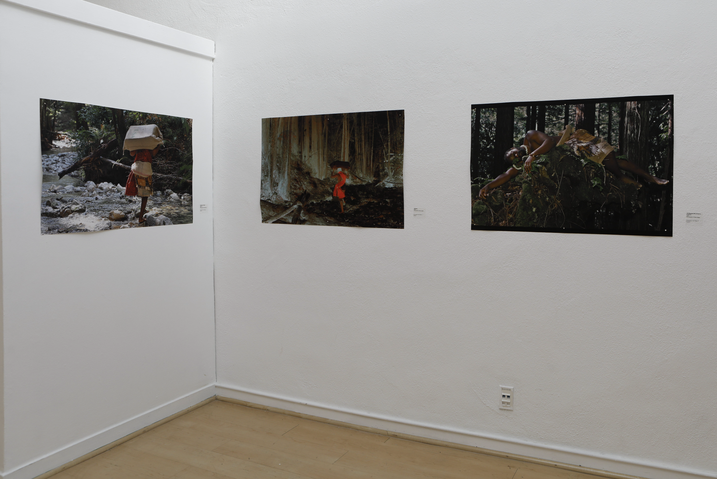 Screenshot 2026-01-19 at 2.51.40 AM.png