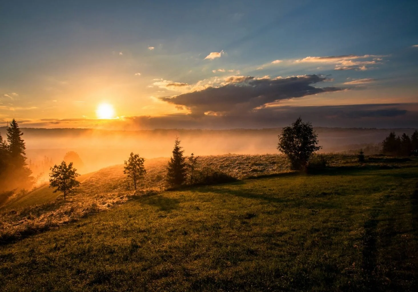 sun rising over the countryside