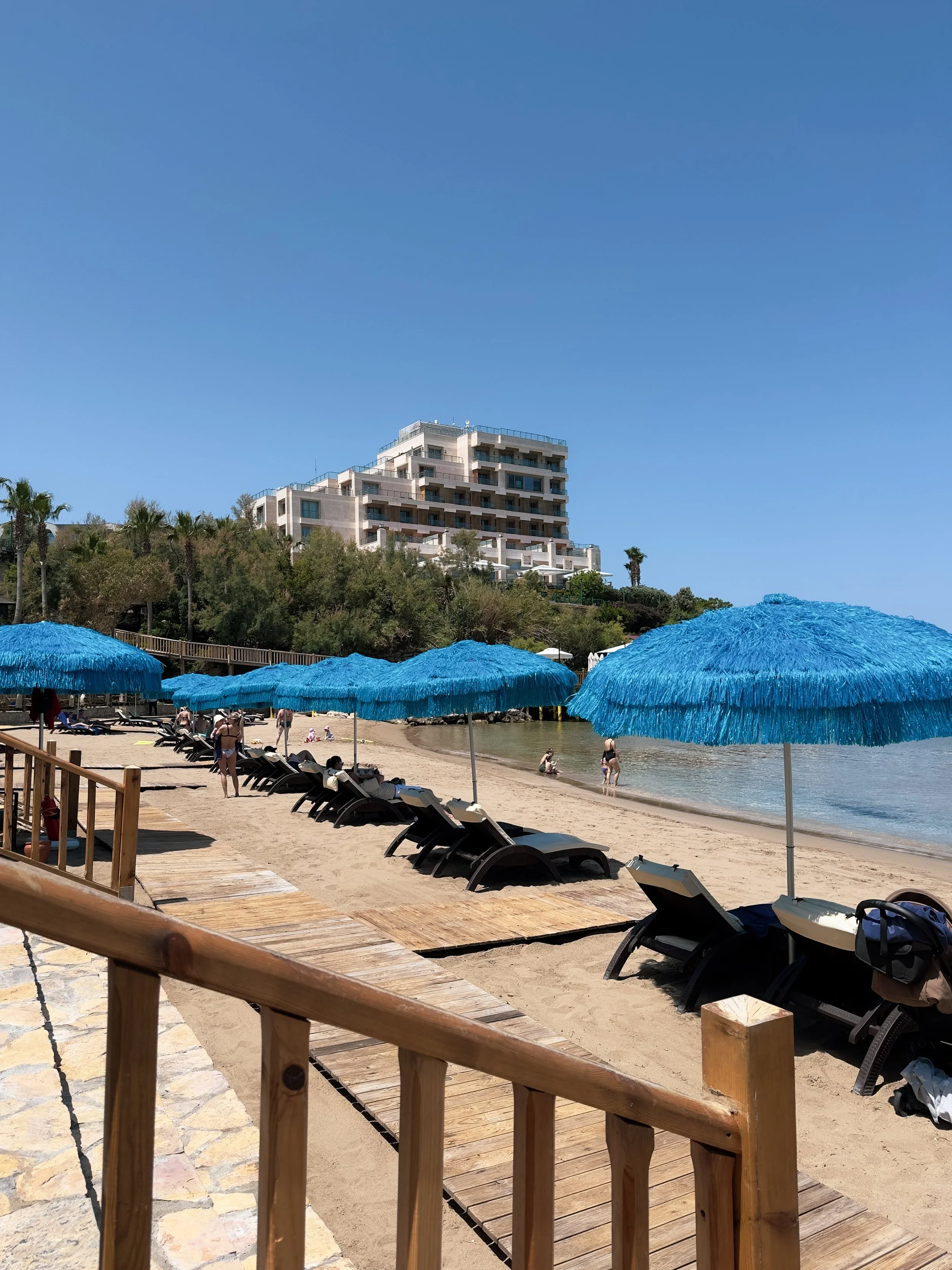 IMG_6906.jpg