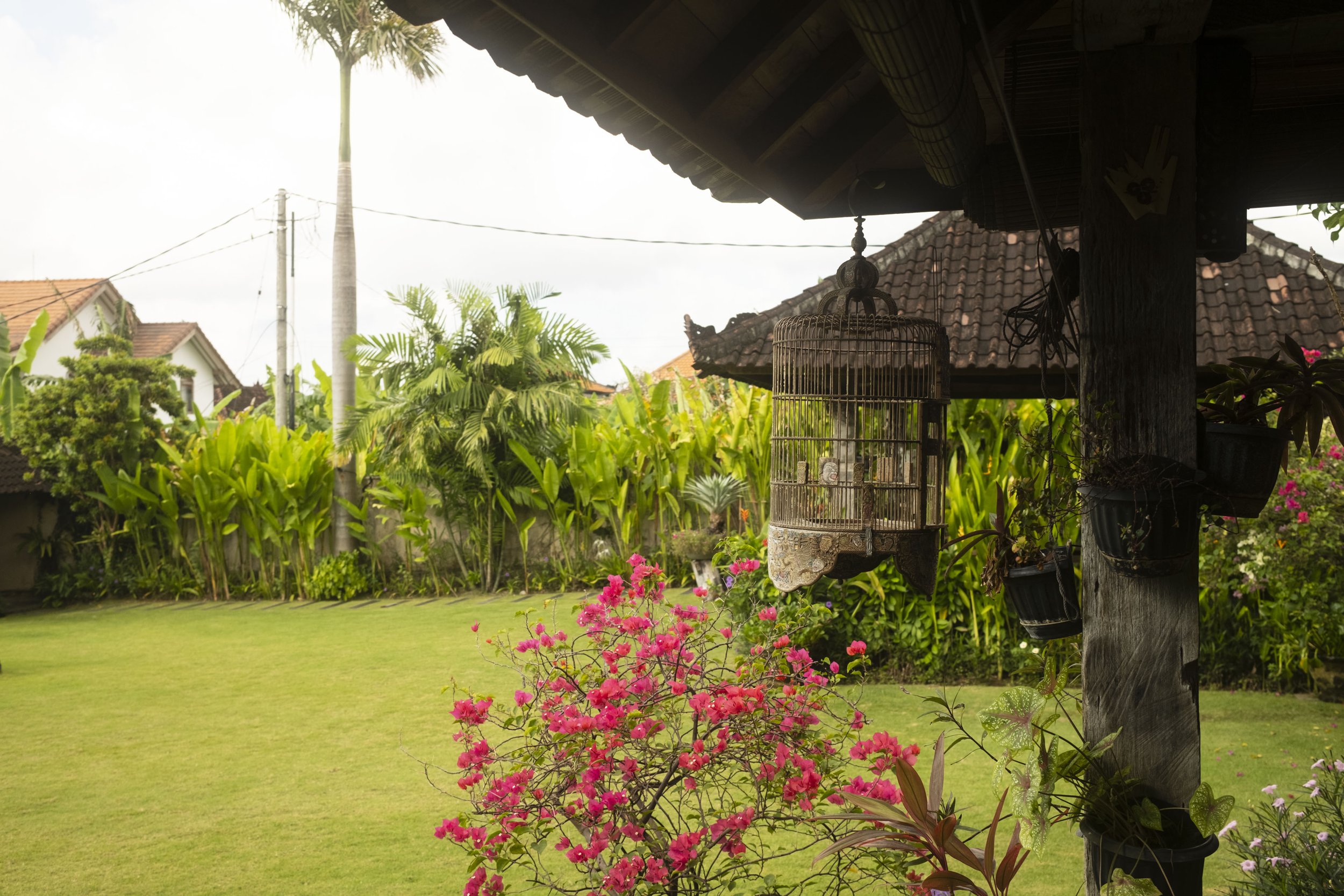 Bali 2025 Fuji_127.jpg