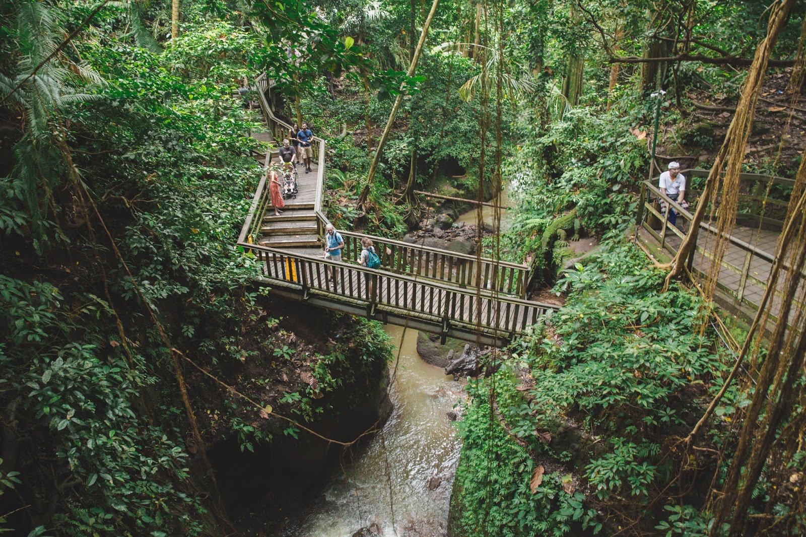 Bali travel visuals 07.jpeg