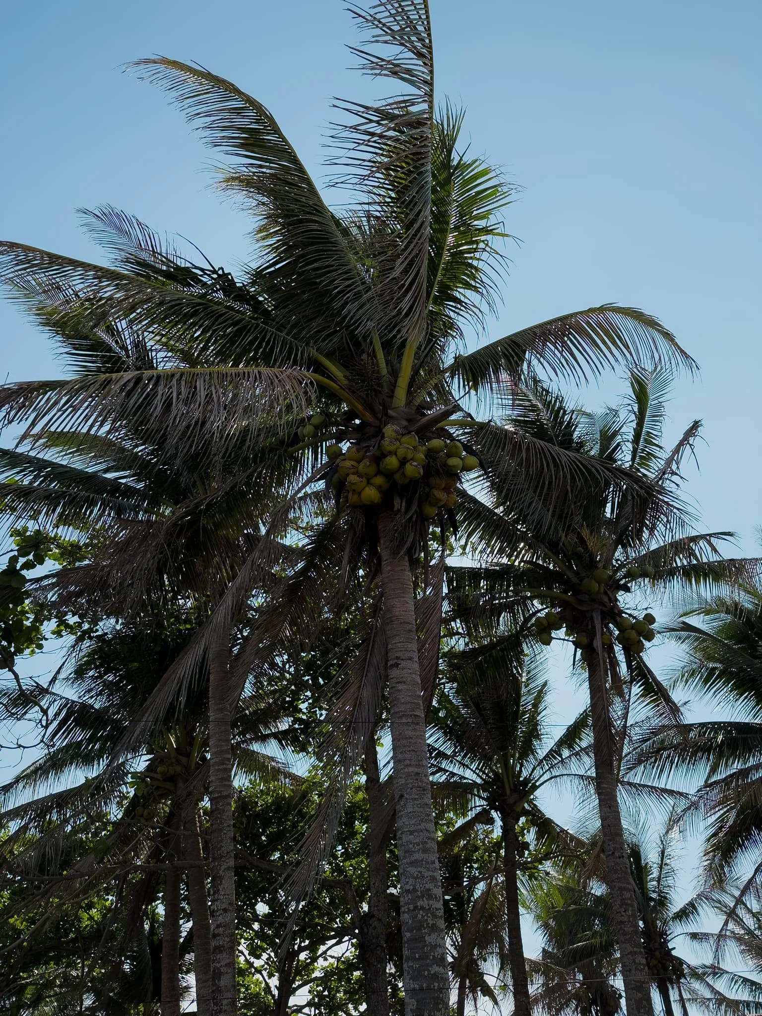 502565028_10236826516432767_5444139868202678170_n.jpg